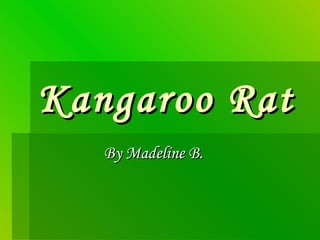 Kangaroo Rat By Madeline B. 