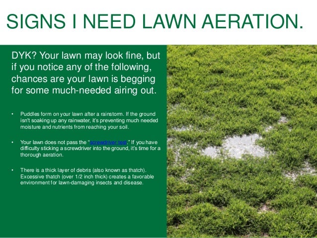 Lawn Aeration Lawn Fertilizing Tips For Homeowners