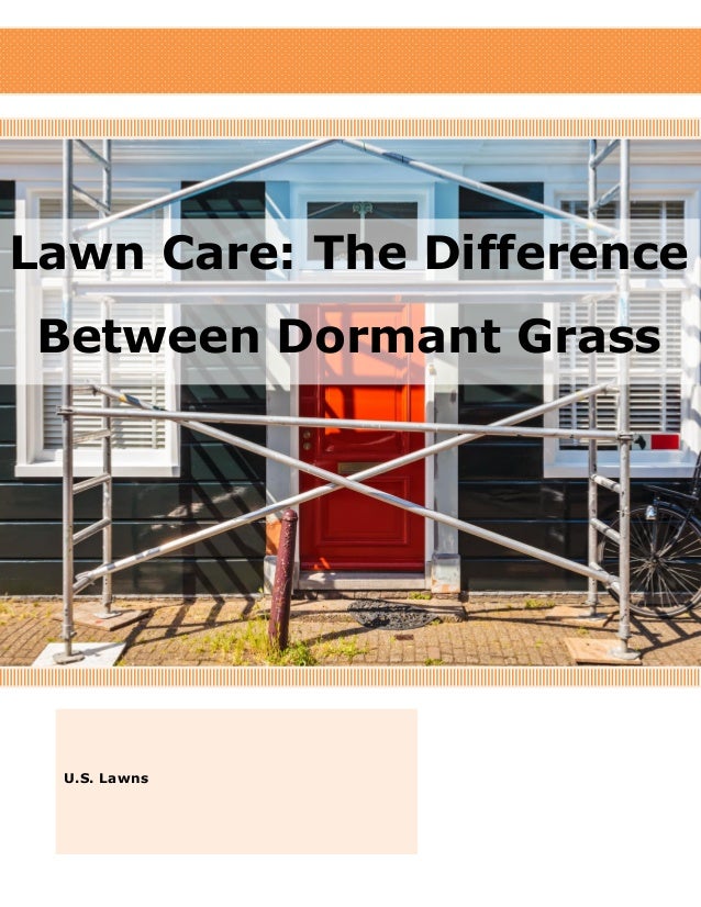 Lawn Care The Difference Between Dormant Grass and Dead Grass