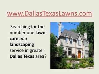 www.DallasTexasLawns.com     Searching for the number one lawncareandlandscaping service in greater Dallas Texas area? 