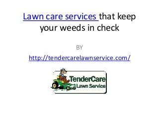 Lawn care services that keep
your weeds in check
BY
http://tendercarelawnservice.com/
 