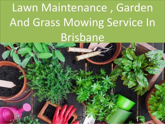 lawn maintenance garden and grass mowing service in brisbane grass mowing service