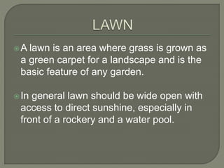 tips for maintaining a beautiful lawn