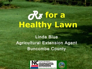 Rx for a
Healthy Lawn
Linda Blue
Agricultural Extension Agent
Buncombe County
 