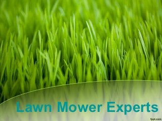 Lawn Mower Experts
 