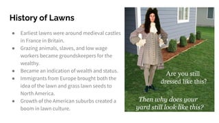 History of Lawns
● Earliest lawns were around medieval castles
in France in Britain.
● Grazing animals, slaves, and low wa...