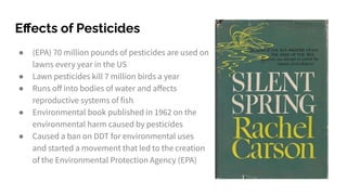 Eﬀects of Pesticides
● (EPA) 70 million pounds of pesticides are used on
lawns every year in the US
● Lawn pesticides kill...