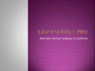 Best lawn Service Company in California
 