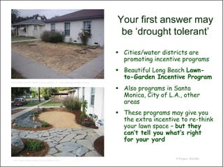 Your first answer may
                                                                      be ‘drought tolerant’

                                                                      Cities/water districts are
                                                                       promoting incentive programs
                                                                      Beautiful Long Beach Lawn-
                                                                       to-Garden Incentive Program
http://laist.com/2010/03/31/long_beach_is_now_paying_people_to.php

                                                                      Also programs in Santa
                                                                       Monica, City of L.A., other
                                                                       areas
                                                                      These programs may give you
                                                                       the extra incentive to re-think
                                                                       your lawn space – but they
                                                                       can’t tell you what’s right
                                                                       for your yard

                                                                                         © Project SOUND
 http://www.calecodesign.com/Gallery.html
 