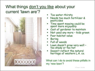 What things don’t you like about your
current ‘lawn are’?
                       Too water-thirsty
                       Needs too much fertilizer &
                        pesticides
                       Time spent mowing could be
                        spent more enjoyably
                       Cost of gardener to maintain
                       Not used any more – kids grown
                       Poor habitat value
                       Boring
                       Full of weeds
                       Lawn doesn’t grow very well –
                        too shady or too hot
                       Doesn’t reflect the natural
                        heritage of western L.A. co.

                     What can I do to avoid these pitfalls in
                     my ‘new lawn’?
                                               © Project SOUND
 