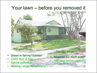 Your lawn – before you removed it




     The good things
                                      The bad things
   Green in Spring/Summer
                                   Requires too much water
   Looks neat & tidy
                                   Not local native – would
   Can be walked on                prefer that
   Mowing – enjoy occasionally
                                                       © Project SOUND
 