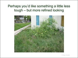 Perhaps you’d like something a little less
    tough – but more refined looking




                                    © Project SOUND
 