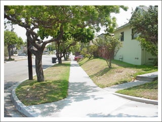 Your personal lists will help you make a
      choice that’s right for your garden




The good things                      The bad things
   Evergreen – ‘swath of green’        Requires too much water
   Low maintenance                     Doesn’t look great in the
   Reminds me of being out in the       shady areas of the yard
    woods (which I like)
                                                        © Project SOUND
 