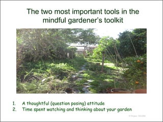The two most important tools in the
            mindful gardener’s toolkit




1.   A thoughtful (question posing) attitude
2.   Time spent watching and thinking about your garden
                                                     © Project SOUND
 