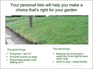 Your personal lists will help you make a
           choice that’s right for your garden




http://greenlandoceanblue.com/2011/01/03/say-you-got-some-snoo-on-your-lawn-larry-o%E2%80%99shea-in-the-tv-series-that%E2%80%99s-my-bush/



 The good things                                                                                                The bad things
       Evergreen – sort of                                                                                            Requires too much water –
       Prevents erosion on slope                                                                                       would like to be slightly more
       Discourages people from                                                                                         water-wise
        walking on it                                                                                                  Hard to mow – steep hillside
                                                                                                                                            © Project SOUND
 
