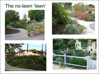 The no-lawn ‘lawn’




http://www.cnps.org/cnps/grownative/tips/lawn_alternatives.php




http://freshdirt.sunset.com/2009/03/another-front-l.html
                                                                 http://www.penick.net/digging/?p=497   © Project SOUND
 