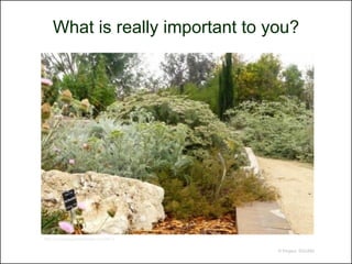 What is really important to you?




http://cocreativegardendesign.com/56-2/


                                          © Project SOUND
 