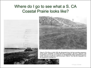 Where do I go to see what a S. CA
   Coastal Prairie looks like?




                              © Project SOUND
 