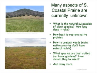 Many aspects of S.
                                                                   Coastal Prairie are
                                                                   currently unknown
                                                                   What is the natural succession
                                                                    of plant species? How long
                                                                    does it take?
                                                                   How best to restore native
http://interwork.sdsu.edu/fire/resources/san-diego-habitats.htm



                                                                    prairies
                                                                   How to combat weeds (note:
                                                                    native prairies don’t have
                                                                    natural mulch)
                                                                   What species are best suited
                                                                    for home gardens? How
                                                                    should they be used?
                                                                   And many more
                                                                                      © Project SOUND
 