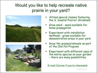 Would you like to help recreate native
                        prairie in your yard?
                                                                   Attend special classes featuring
                                                                    the S. Coastal Prairie/ shrubland
                                                                   Grow seed - seed available for
                                                                    home propagation
                                                                   Experiment with installation
                                                                    methods - grass available for
                                                                    demonstration areas in your yard
                                                                   Grow the grasses/annuals as part
                                                                    of the One Pot Program
                                                                   Experiment with different uses of
                                                                    the native species on your garden
                                                                    – there are many possibilities


                                                                   E-mail Connie if you’re interested
                                                                                           © Project SOUND
http://forums.gardenweb.com/forums/load/calif/msg0617091222429.
html
 