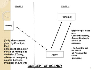_law_of_agency.docx