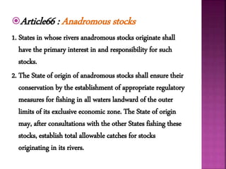 Article66 : Anadromous stocks
1. States in whose rivers anadromous stocks originate shall
have the primary interest in and responsibility for such
stocks.
2. The State of origin of anadromous stocks shall ensure their
conservation by the establishment of appropriate regulatory
measures for fishing in all waters landward of the outer
limits of its exclusive economic zone. The State of origin
may, after consultations with the other States fishing these
stocks, establish total allowable catches for stocks
originating in its rivers.
 