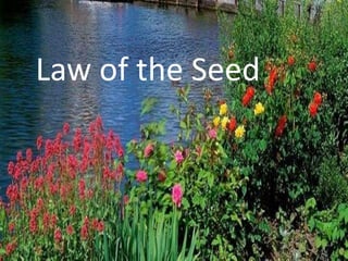 Law of the Seed

 