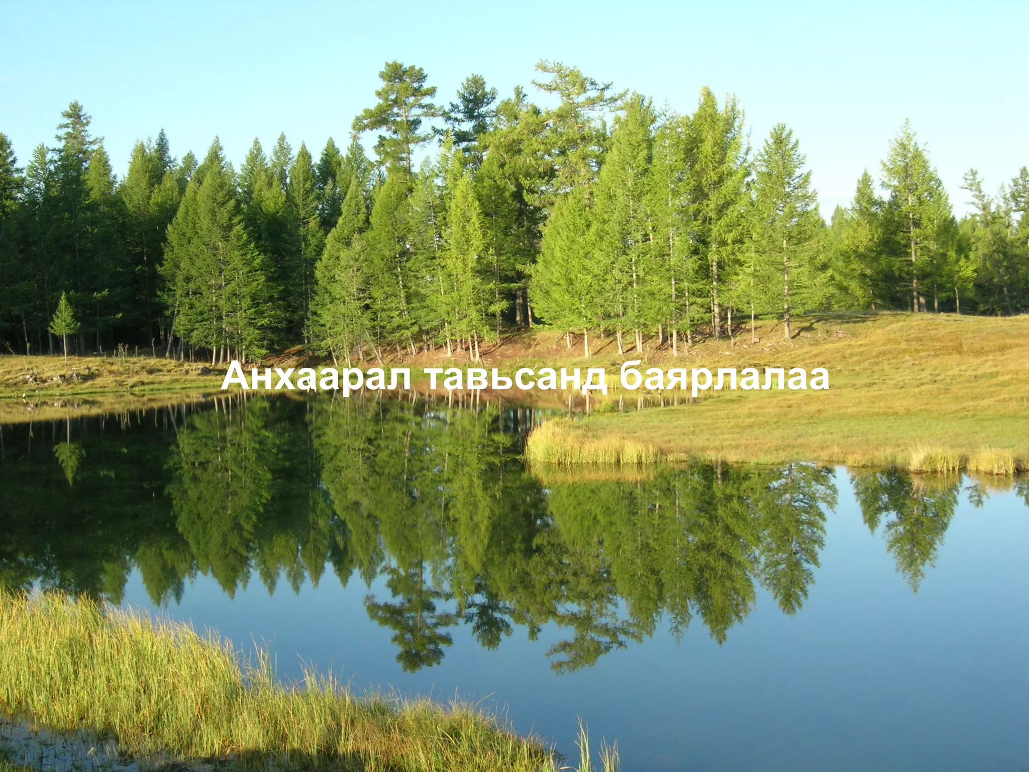 Анхаарал тавьсанд баярлалаа
 