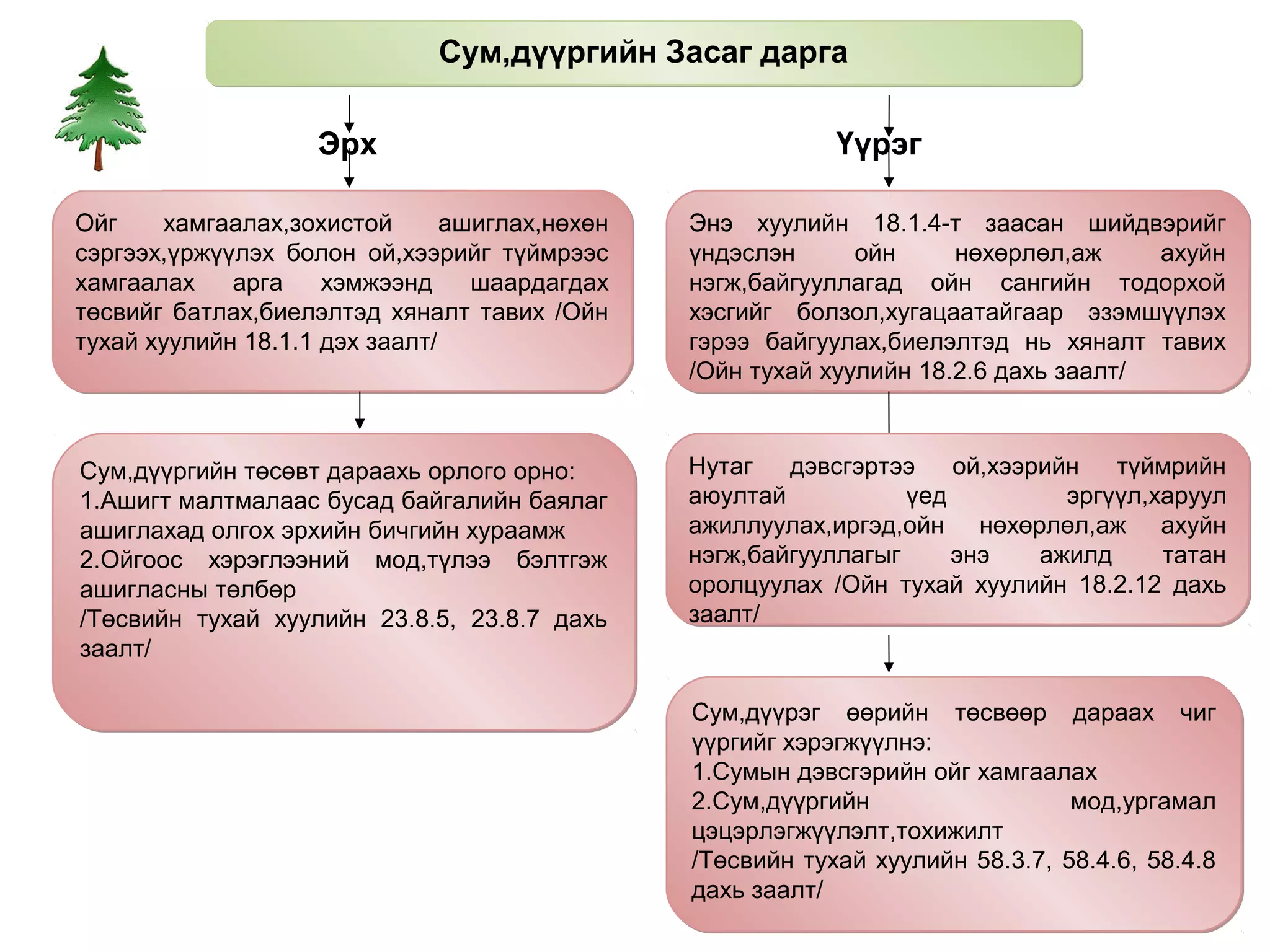 Сум,дүүргийн Засаг дарга

                    Эрх                                     Үүрэг

Ойг    хамгаалах,зохистой       ашиглах,нөхөн   Энэ хуулийн 18.1.4-т заасан шийдвэрийг
сэргээх,үржүүлэх болон ой,хээрийг түймрээс      үндэслэн      ойн     нөхөрлөл,аж     ахуйн
хамгаалах    арга    хэмжээнд     шаардагдах    нэгж,байгууллагад ойн сангийн тодорхой
төсвийг батлах,биелэлтэд хяналт тавих /Ойн      хэсгийг болзол,хугацаатайгаар эзэмшүүлэх
тухай хуулийн 18.1.1 дэх заалт/                 гэрээ байгуулах,биелэлтэд нь хяналт тавих
                                                /Ойн тухай хуулийн 18.2.6 дахь заалт/



Сум,дүүргийн төсөвт дараахь орлого орно:        Нутаг   дэвсгэртээ    ой,хээрийн   түймрийн
1.Ашигт малтмалаас бусад байгалийн баялаг       аюултай           үед          эргүүл,харуул
ашиглахад олгох эрхийн бичгийн хураамж          ажиллуулах,иргэд,ойн нөхөрлөл,аж ахуйн
2.Ойгоос хэрэглээний мод,түлээ бэлтгэж          нэгж,байгууллагыг     энэ    ажилд     татан
ашигласны төлбөр                                оролцуулах /Ойн тухай хуулийн 18.2.12 дахь
/Төсвийн тухай хуулийн 23.8.5, 23.8.7 дахь      заалт/
заалт/

                                                Сум,дүүрэг өөрийн төсвөөр дараах чиг
                                                үүргийг хэрэгжүүлнэ:
                                                1.Сумын дэвсгэрийн ойг хамгаалах
                                                2.Сум,дүүргийн                  мод,ургамал
                                                цэцэрлэгжүүлэлт,тохижилт
                                                /Төсвийн тухай хуулийн 58.3.7, 58.4.6, 58.4.8
                                                дахь заалт/
 