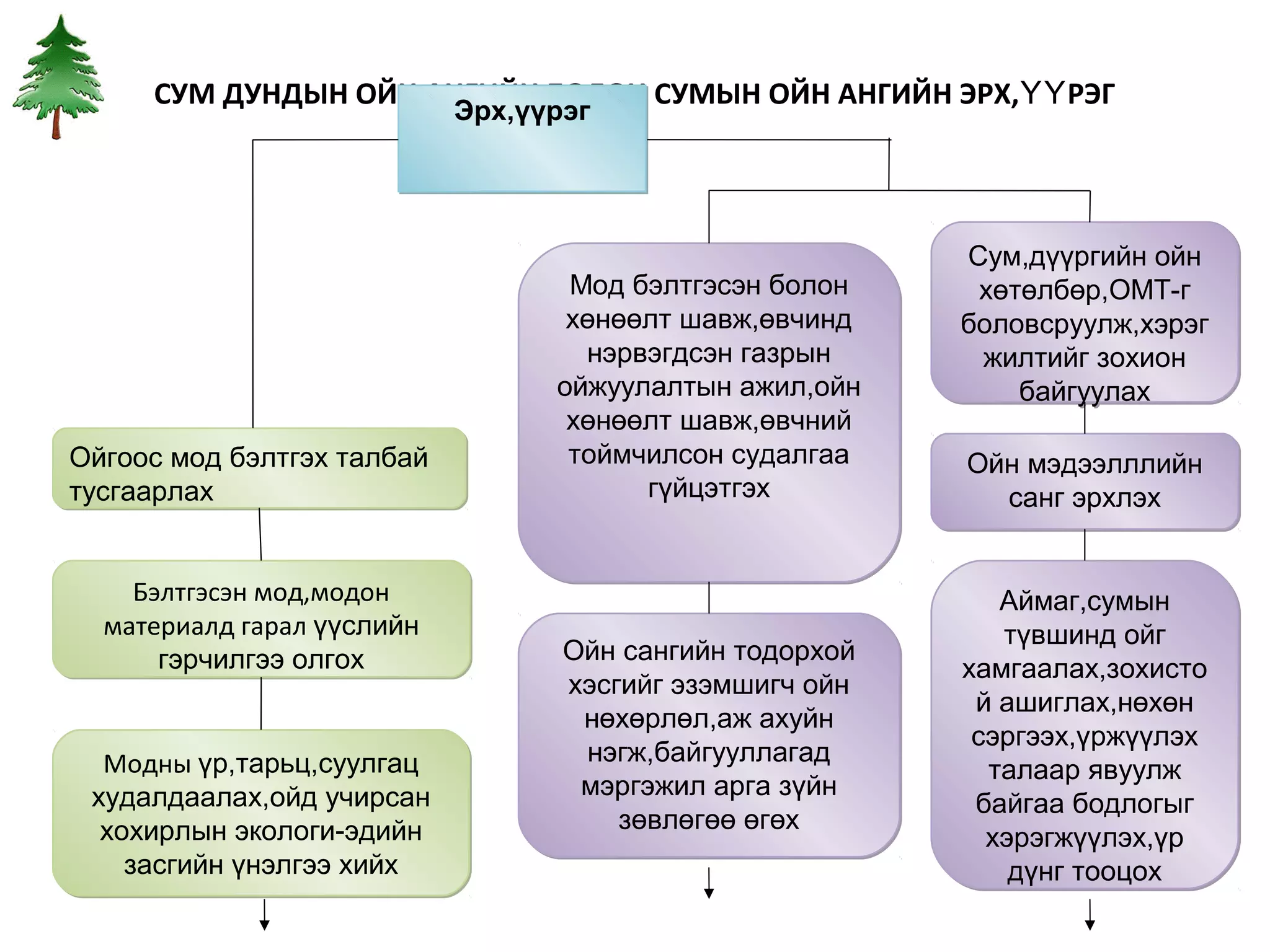 СУМ ДУНДЫН ОЙН АНГИЙН БОЛОН СУМЫН ОЙН АНГИЙН ЭРХ, ҮҮ РЭГ
                            Эрх,үүрэг




                                                          Сум,дүүргийн ойн
                                   Мод бэлтгэсэн болон     хөтөлбөр,ОМТ-г
                                   хөнөөлт шавж,өвчинд    боловсруулж,хэрэг
                                    нэрвэгдсэн газрын      жилтийг зохион
                                  ойжуулалтын ажил,ойн        байгуулах
                                   хөнөөлт шавж,өвчний
Ойгоос мод бэлтгэх талбай          тоймчилсон судалгаа    Ойн мэдээлллийн
тусгаарлах                              гүйцэтгэх           санг эрхлэх


    Бэлтгэсэн мод,модон                                      Аймаг,сумын
  материалд гарал үүслийн                                    түвшинд ойг
      гэрчилгээ олгох              Ойн сангийн тодорхой
                                                          хамгаалах,зохисто
                                   хэсгийг эзэмшигч ойн
                                                           й ашиглах,нөхөн
                                    нөхөрлөл,аж ахуйн
                                                           сэргээх,үржүүлэх
  Модны үр,тарьц,суулгац            нэгж,байгууллагад
                                                            талаар явуулж
 худалдаалах,ойд учирсан            мэргэжил арга зүйн
                                                           байгаа бодлогыг
  хохирлын экологи-эдийн               зөвлөгөө өгөх
                                                            хэрэгжүүлэх,үр
    засгийн үнэлгээ хийх                                      дүнг тооцох
 