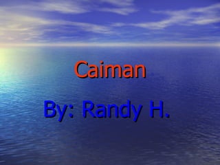 Caiman By: Randy H.  