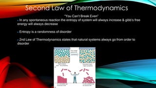 Second Law of Thermodynamics
“You Can’t Break Even”
In any spontaneous reaction the entropy of system will always increase & gibb’s free
energy will always decrease
Entropy is a randomness of disorder
2nd Law of Thermodynamics states that natural systems always go from order to
disorder
 