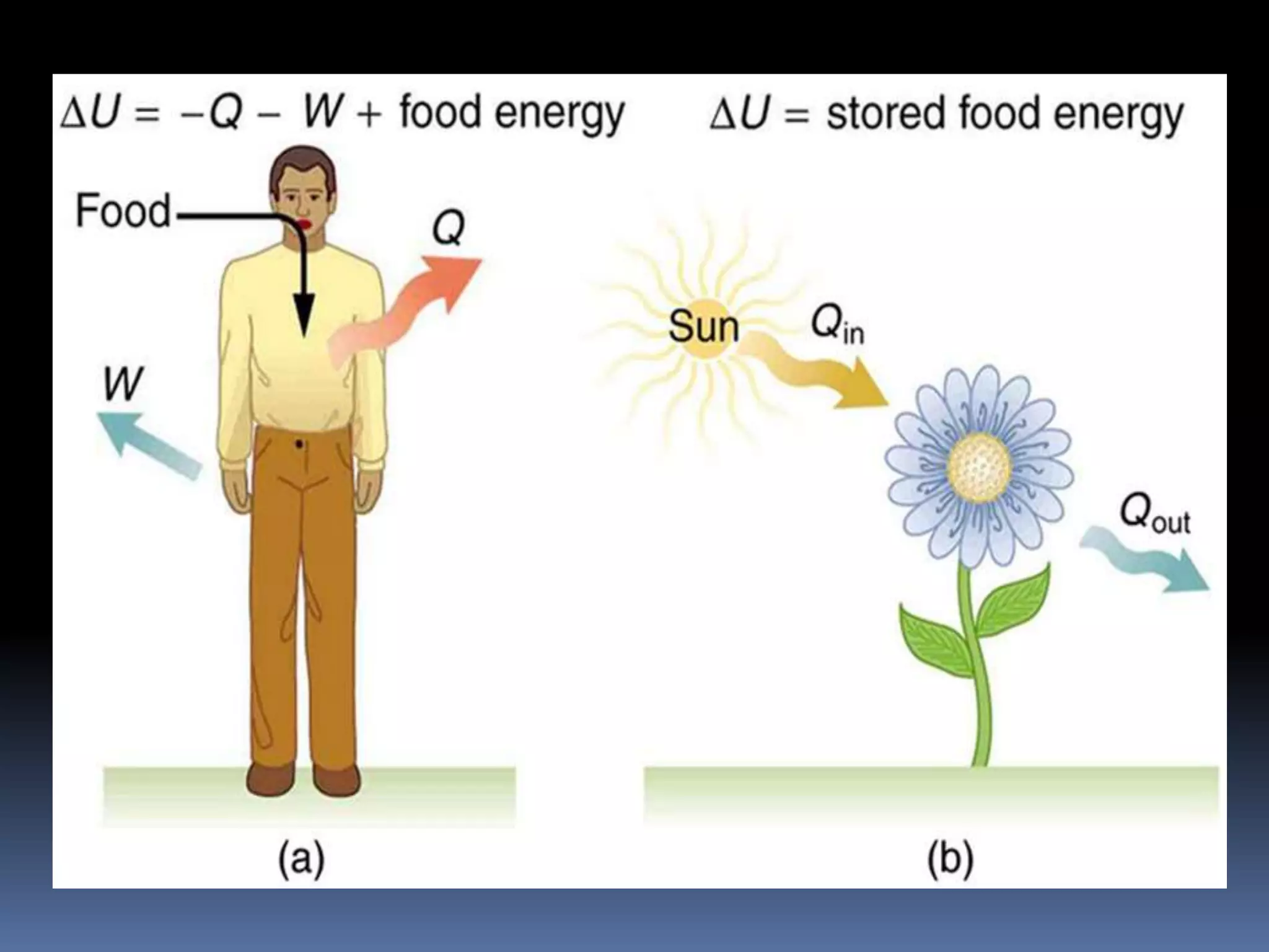 Laws of thermodynamics