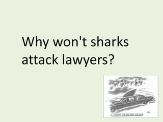 Why won't sharks attack lawyers?