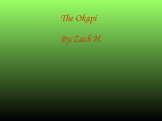 The Okapi By:Zach H. 