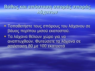 Βάθος και απόσταση σποράς σποράς λάχανων Τοποθετήστε τους σπόρους του λάχανου σε βάυος περίπου μισού εκατοστού. Τα λάχανα θέλουν χώρο για να αναπτυχθούν. Φυτεύσετε τα λάχανα σε απόσταση 80 με 100 εκατοστά 
