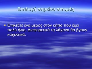 Επιλογή σημείου σποράς Επιλέξτε ένα μέρος στον κήπο που έχει πολύ ήλιο. Διαφορετικά τα λάχανα θα βγουν καχεκτικά. 