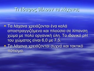Τι έδαφος θέλουν τα λάχανα; Τα λάχανα χρειάζονται ένα καλά αποστραγγιζόμενο και πλούσιο σε λίπανση χώμα με πολύ οργανική ύλη. Το ιδανικό pH του χώματος είναι 6,0 με 7,5. Τα λάχανα χρειάζονται συχνό και τακτικό πότισμα. 
