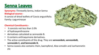 Senna Leaves
Synonyms:-Tinnevelly Senna, Indian Senna
Biological source:-
It consist of dried leaflets of Cassia angustifolia.
Family:-Leguminosae
Chemical Constituents:-
• It consists not less than 2.0%
• of hydroxyanthracene
• derivatives calculated as sennoside B.
• It contains anthraquinone derivatives.
• The active constituents of the drug. They are sennosideA, sennosideB,
sennoside C, and Sennoside D.
• Senna Leaves also contains rhein, kaempferol, Aloe-emodin and isorhamnetin
etc
 