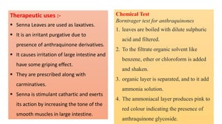 Therapeutic uses :-
 Senna Leaves are used as laxatives.
 It is an irritant purgative due to
presence of anthraquinone derivatives.
 It causes irritation of large intestine and
have some griping effect.
 They are prescribed along with
carminatives.
 Senna is stimulant cathartic and exerts
its action by increasing the tone of the
smooth muscles in large intestine.
Chemical Test
Borntrager test for anthraquinones
1. leaves are boiled with dilute sulphuric
acid and filtered.
2. To the filtrate organic solvent like
benzene, ether or chloroform is added
and shaken.
3. organic layer is separated, and to it add
ammonia solution.
4. The ammoniacal layer produces pink to
red colour indicating the presence of
anthraquinone glycoside.
 