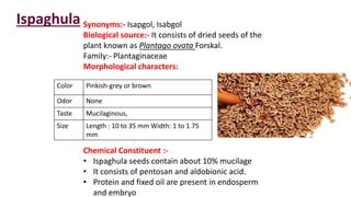Ispaghula Synonyms:- Isapgol, Isabgol
Biological source:- It consists of dried seeds of the
plant known as Plantago ovata Forskal.
Family:- Plantaginaceae
Morphological characters:
Chemical Constituent :-
• Ispaghula seeds contain about 10% mucilage
• It consists of pentosan and aldobionic acid.
• Protein and fixed oil are present in endosperm
and embryo
Color Pinkish-grey or brown
Odor None
Taste Mucilaginous,
Size Length : 10 to 35 mm Width: 1 to 1.75
mm
 