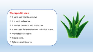 Therapeutic uses:
 It used as irritant purgative
 It is used as laxative
 It use for cosmetic and protective
 It also ...