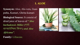 1. ALOE
Synonym: Aloe, Alo-vera, Guar-
patha, Kumari, Ghrita-kumari
Biological Source: It consist of
dried juice of leaves of “Aloe
barbadensis Miller (एलो
बारबाडेन्सिस मिलर) and Aloe
Africana”.
Family: Liliaceae.
 