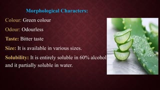 Morphological Characters:
Colour: Green colour
Odour: Odourless
Taste: Bitter taste
Size: It is available in various sizes.
Solubility: It is entirely soluble in 60% alcohol
and it partially soluble in water.
 