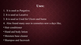 Uses:
1. It is used as Purgative.
2. It is used as Laxative
3. It is used as Used for Ulcers and burns
4. Aloe found many uses in cosmetics now a days like,
• Hair conditioner
• Hand and body lotion
• Moisture base cleaner
• Shampoo and facewash
 
