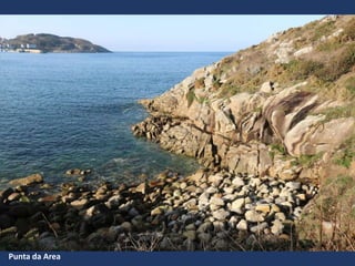Punta da Area
 