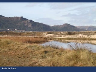 Praia de Traba
 