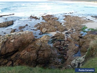 Punta Corveiro
 
