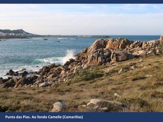 Punta das ís. Ao fondo Camelle (Camariñas)
 
