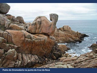 Pedra do Dromedario na punta da Cruz da Rosa
 
